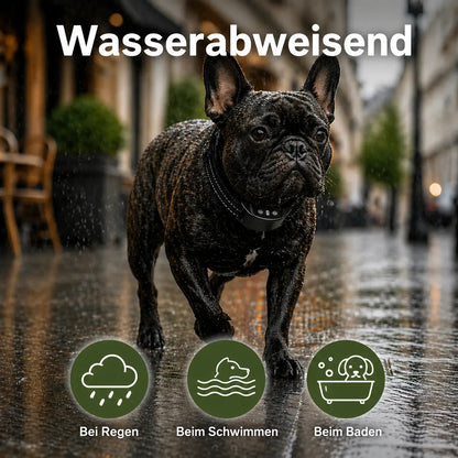 Anti_Bell_Halsband Wasserabweisend