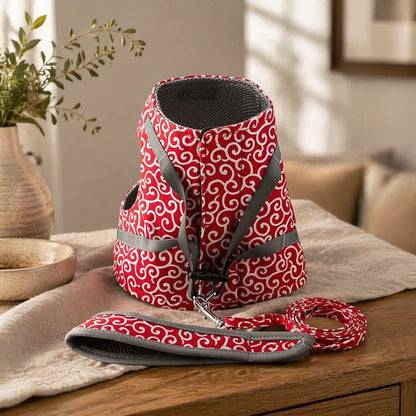 Cat harness escape-proof | With leash for walks