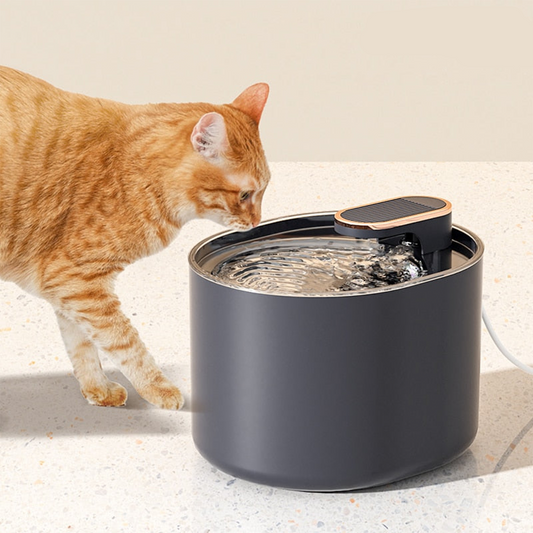 FrischQuell – Der stilvolle Katzenbrunnen für gesundes Trinken