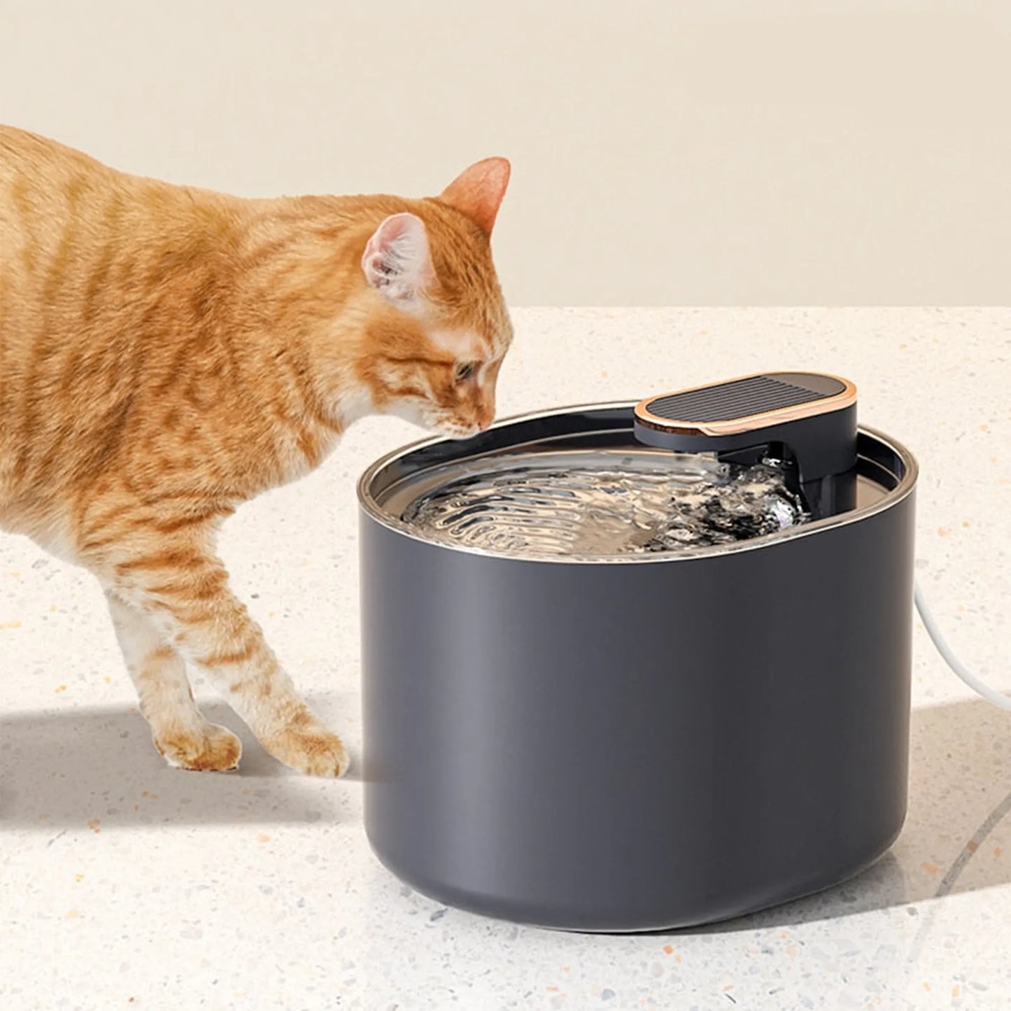 FrischQuell – Der stilvolle Katzenbrunnen für gesundes Trinken
