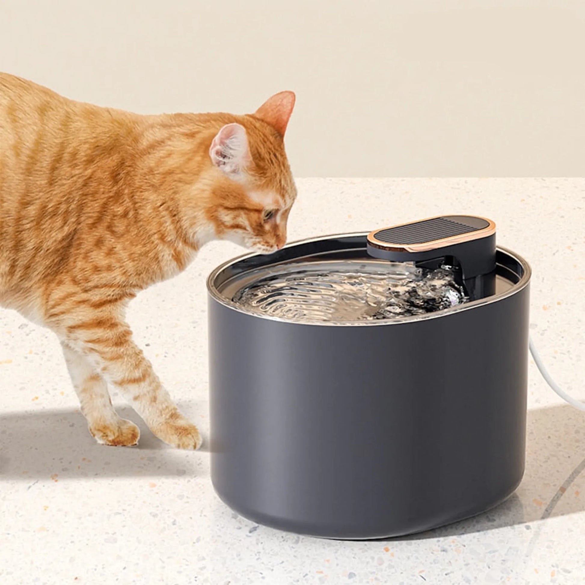 FrischQuell – Der stilvolle Katzenbrunnen für gesundes Trinken