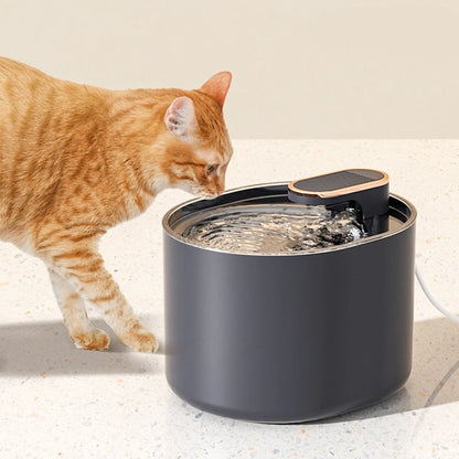 FrischQuell – Der stilvolle Katzenbrunnen für gesundes Trinken