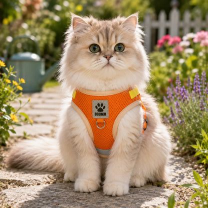 Ausbruchsicheres Katzengeschirr Hauptbild