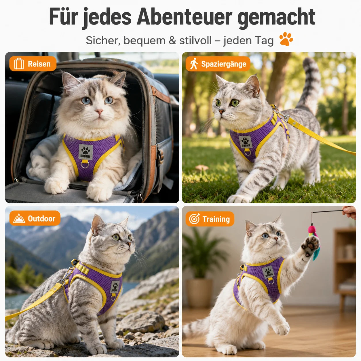 Ausbruchsicheres Katzengeschirr Anwendungsszenarien 