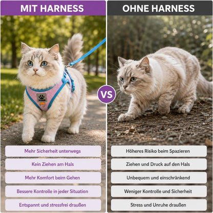 Ausbruchsicheres Katzengeschirr Anwendungsszenarien