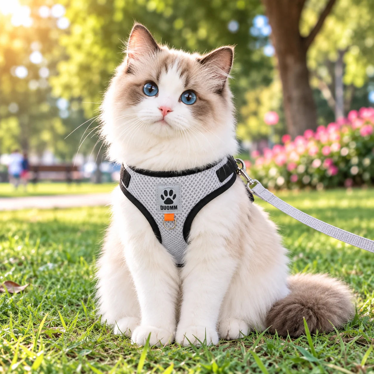 Ausbruchsicheres Katzengeschirr variantbild grau