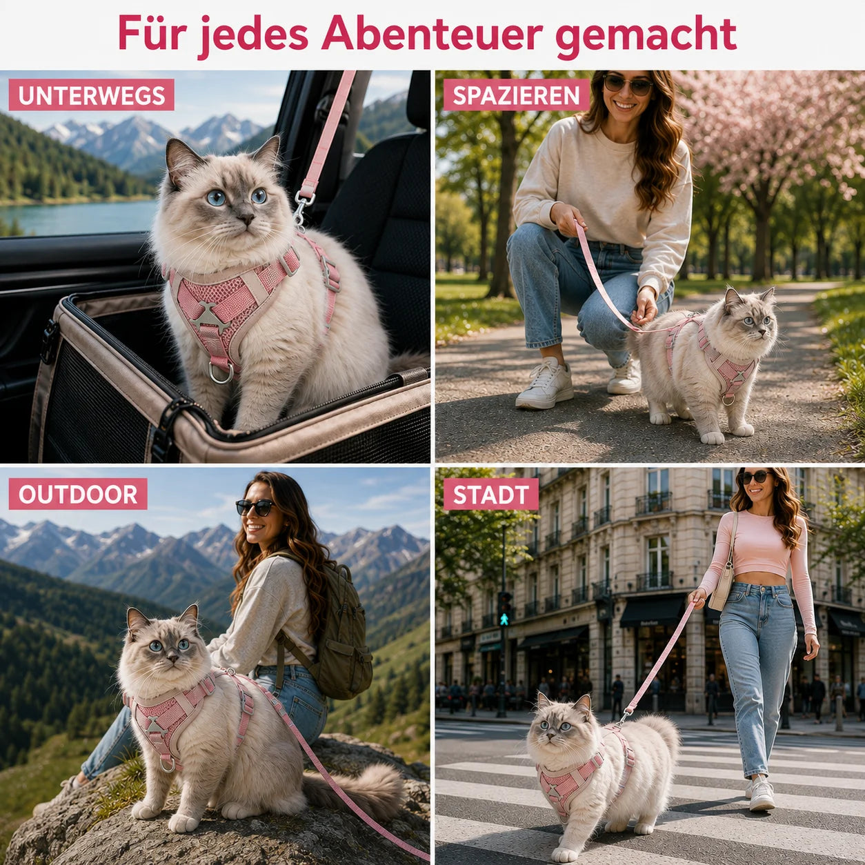 Ausbruchsicheres_Katzengeschirr  Anwendungsszenarien 