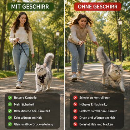 Ausbruchsicheres_Katzengeschirr  Produktvergleich 