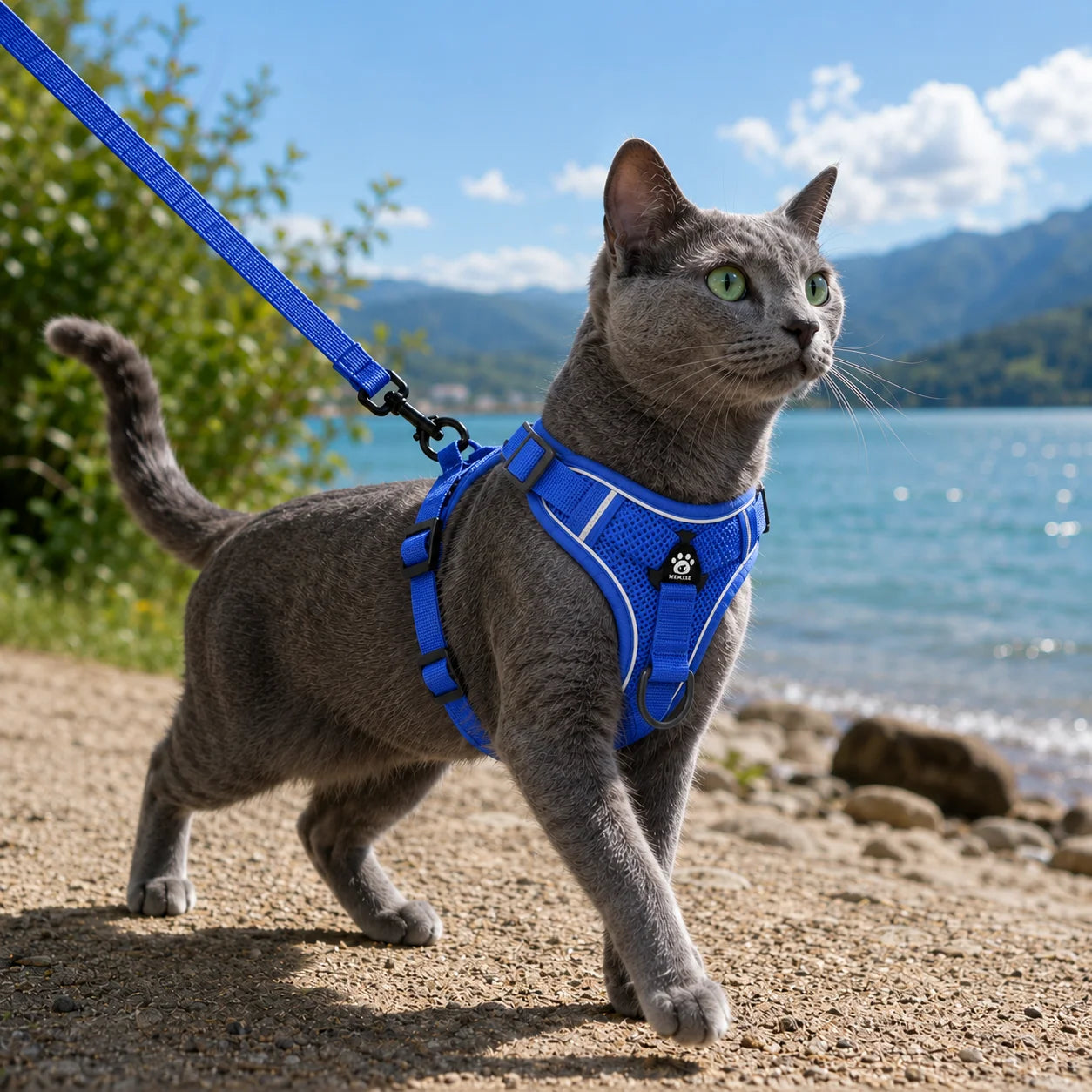 Ausbruchsicheres_Katzengeschirr