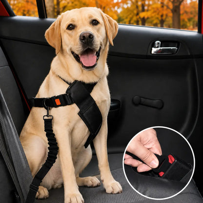 Auto Sicherheitsset für Hunde Lifestyle-Bild 