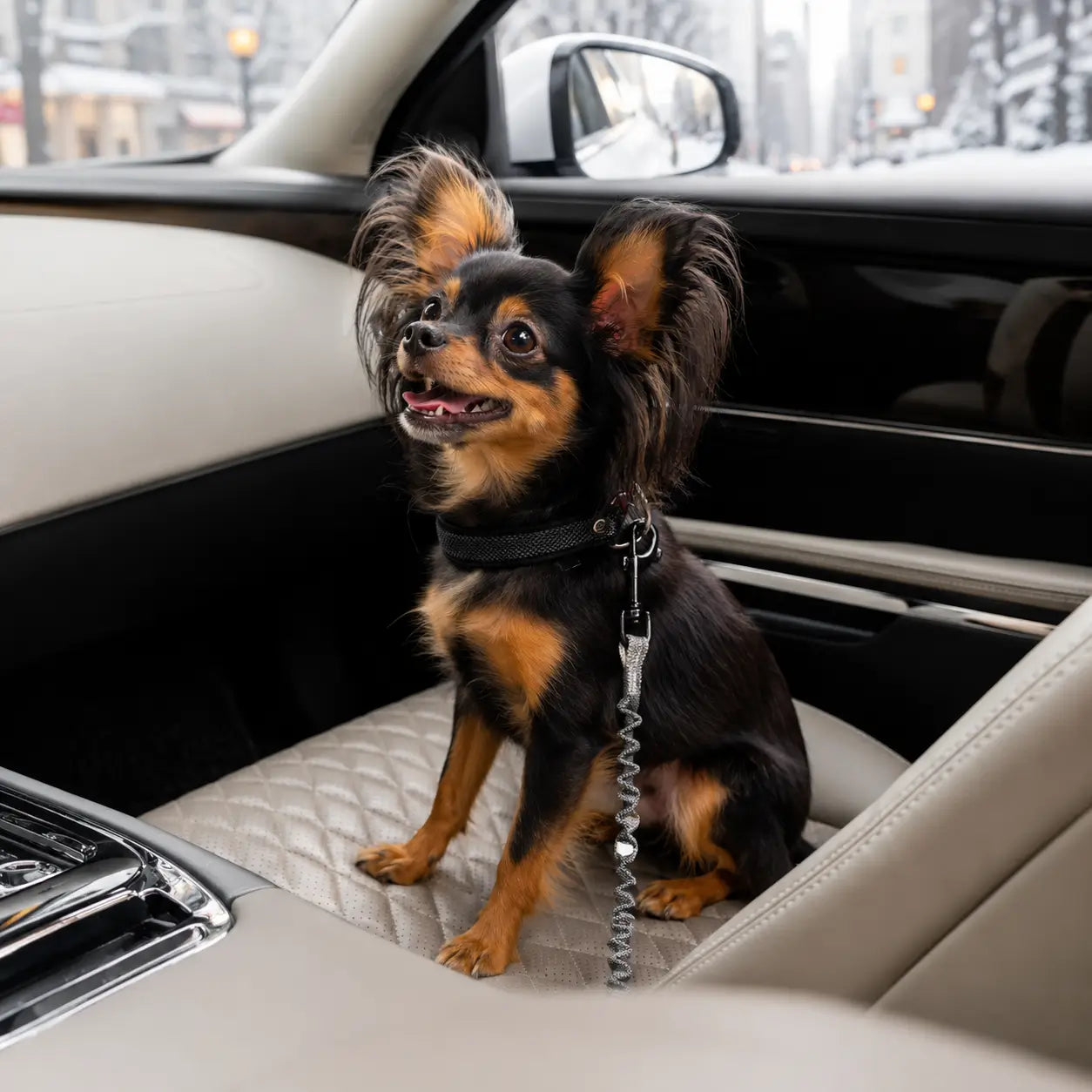 Auto Sicherheitsset für Hunde Lifestyle-Bild 