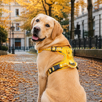 Auto Sicherheitsset für Hunde Lifestyle-Bild 