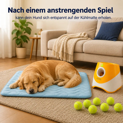 Ballwurfmaschine-Hundekühlmatte Anwendungsszenarien 