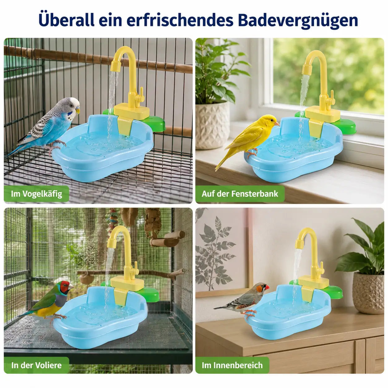 Vogeltranke Anwendungsszenarien 