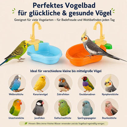 Vogeltranke  Vögel