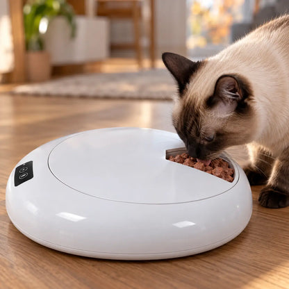 Automatischer Futterautomat Katze Lifestyle-Bild