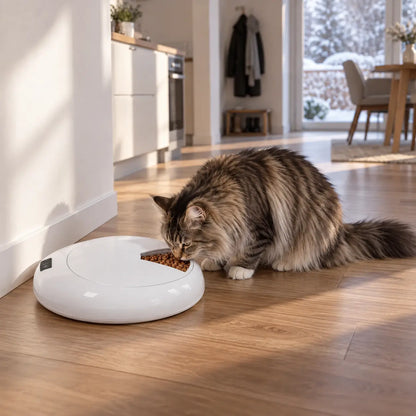 Automatischer Futterautomat Katze Lifestyle-Bild