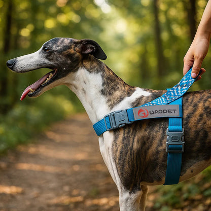 Hundegeschirr Einfach Anziehbar | Verstellbar & Atmungsaktiv