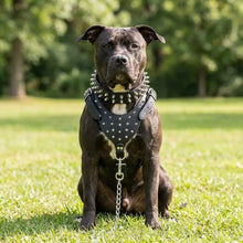 Leather Dog Harness | Adjustable Spiked Harness for Dogs