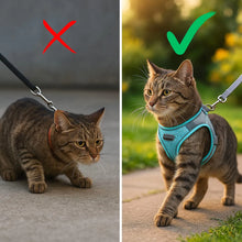 Cat harness with leash | Comfortable & safe for walks