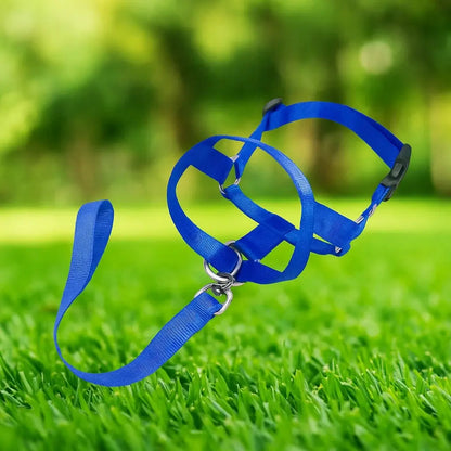 Maulkorb Hund Nylon | verstellbar, sicher & komfortabel