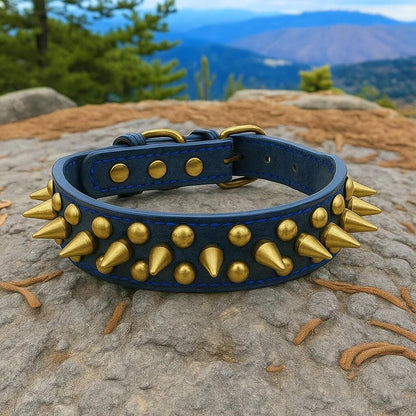 Leder Hundehalsband mit Nieten & Stacheln | stilvoll & robust