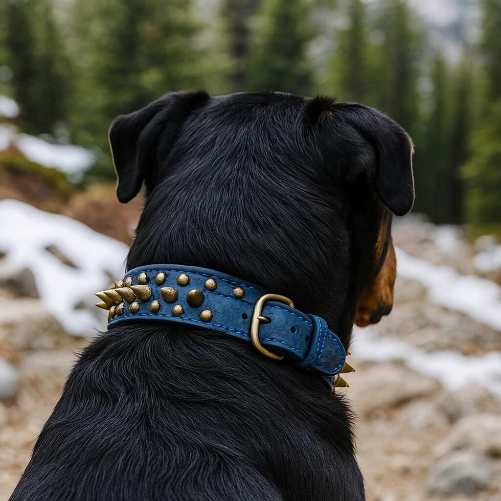 Leder Hundehalsband mit Nieten & Stacheln | stilvoll & robust