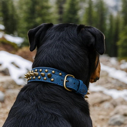 Leder Hundehalsband mit Nieten & Stacheln | stilvoll & robust