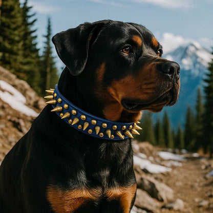 Leder Hundehalsband mit Nieten & Stacheln | stilvoll & robust