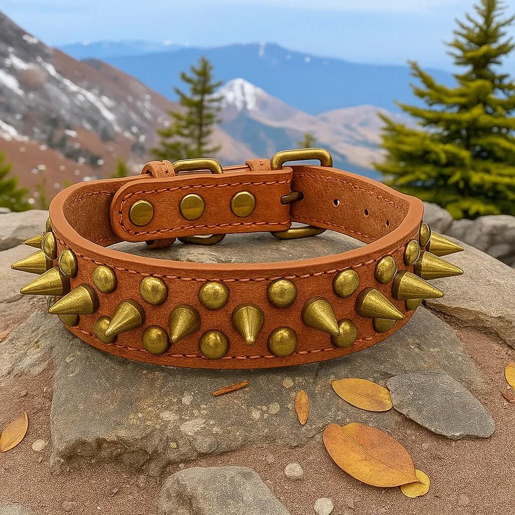 Leder Hundehalsband mit Nieten & Stacheln | stilvoll & robust