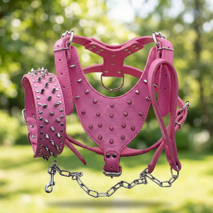 Leather Dog Harness | Adjustable Spiked Harness for Dogs