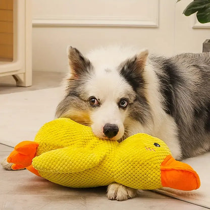 Starke Ente – Beruhigendes Hundespielzeug