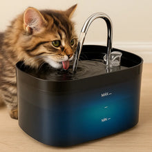 Fontaine à eau pour chats avec filtre & pompe | Fontaine à eau silencieuse