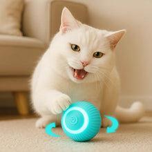 CatRoller | The interactive play ball for endless cat fun
