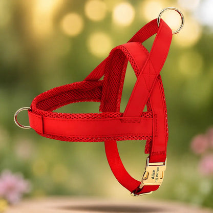 Dog Harness | Trekking-Free & Comfortable in Everyday Life