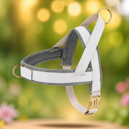 Dog Harness | Trekking-Free & Comfortable in Everyday Life