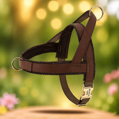 Dog Harness | Trekking-Free & Comfortable in Everyday Life