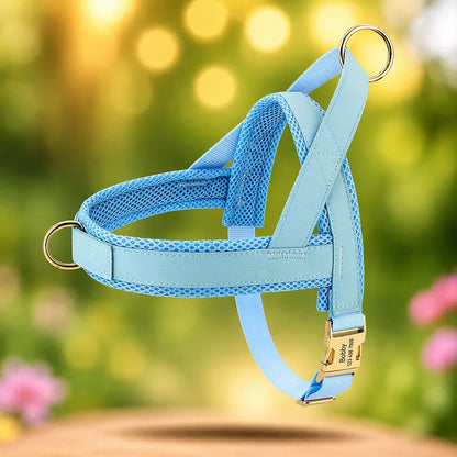 Dog Harness | Trekking-Free & Comfortable in Everyday Life