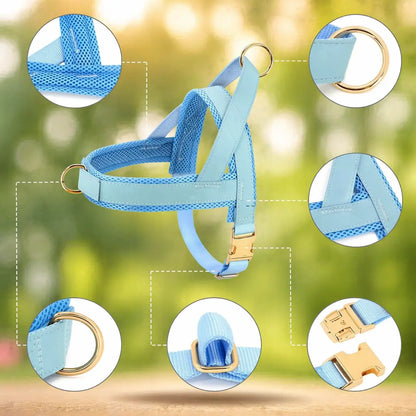 Dog Harness | Trekking-Free & Comfortable in Everyday Life