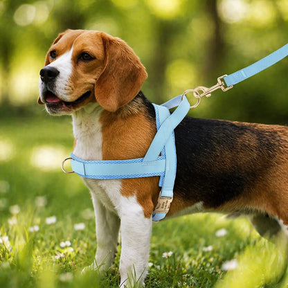 Dog Harness | Trekking-Free & Comfortable in Everyday Life