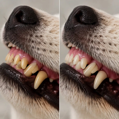 Nettoyant dentaire à mâcher pour chiens – Soin dentaire naturel & haleine fraîche par mastication