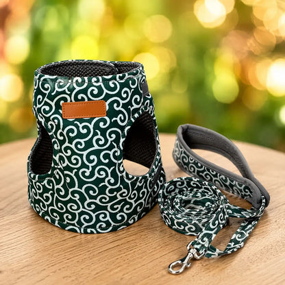 Cat harness escape-proof | With leash for walks