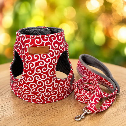 Cat harness escape-proof | With leash for walks
