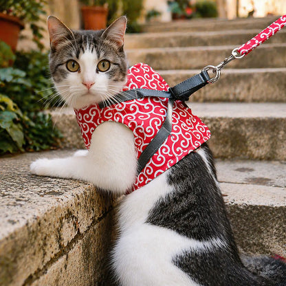 Cat harness escape-proof | With leash for walks