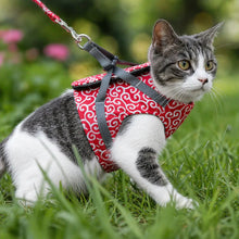 Cat harness escape-proof | With leash for walks