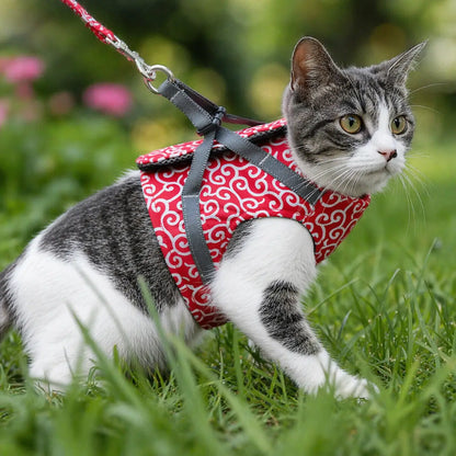 Cat harness escape-proof | With leash for walks