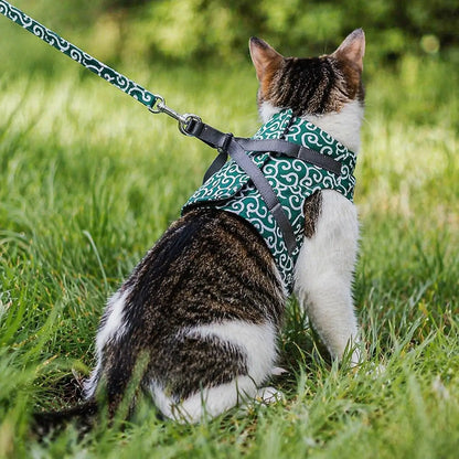 Cat harness escape-proof | With leash for walks