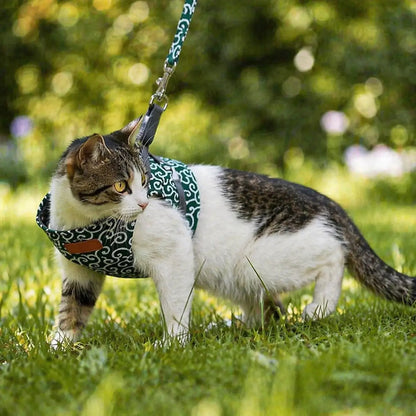 Cat harness escape-proof | With leash for walks