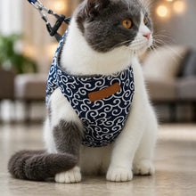 Cat harness escape-proof | With leash for walks