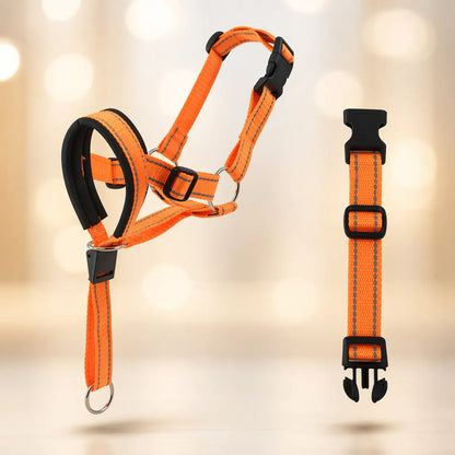Dog Harness Against Pulling | Adjustable for Walking